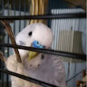 Meet your Posher, Leora